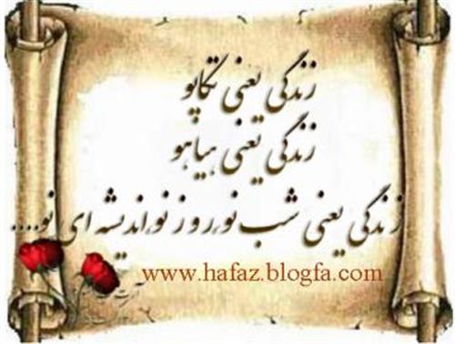 mansour  &nbsp;irani